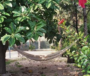 Economy double with garden view, balcony, and private facilities (bath and shower)